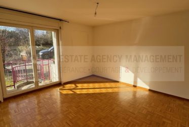 3 Zimmer Wohnung, Durchgangswohnung
