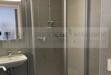 1 Zimmer Wohnung, Renovierte Wohnung