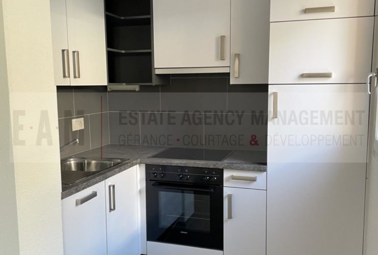 1 Zimmer Wohnung, Renovierte Wohnung