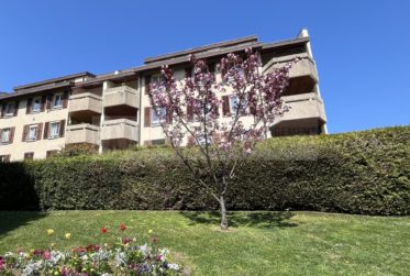 Cologny : charmant 5P traversant / charming 3BR apartment