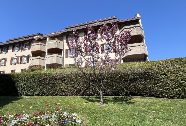 5 Zimmer Wohnung, Durchgangswohnung