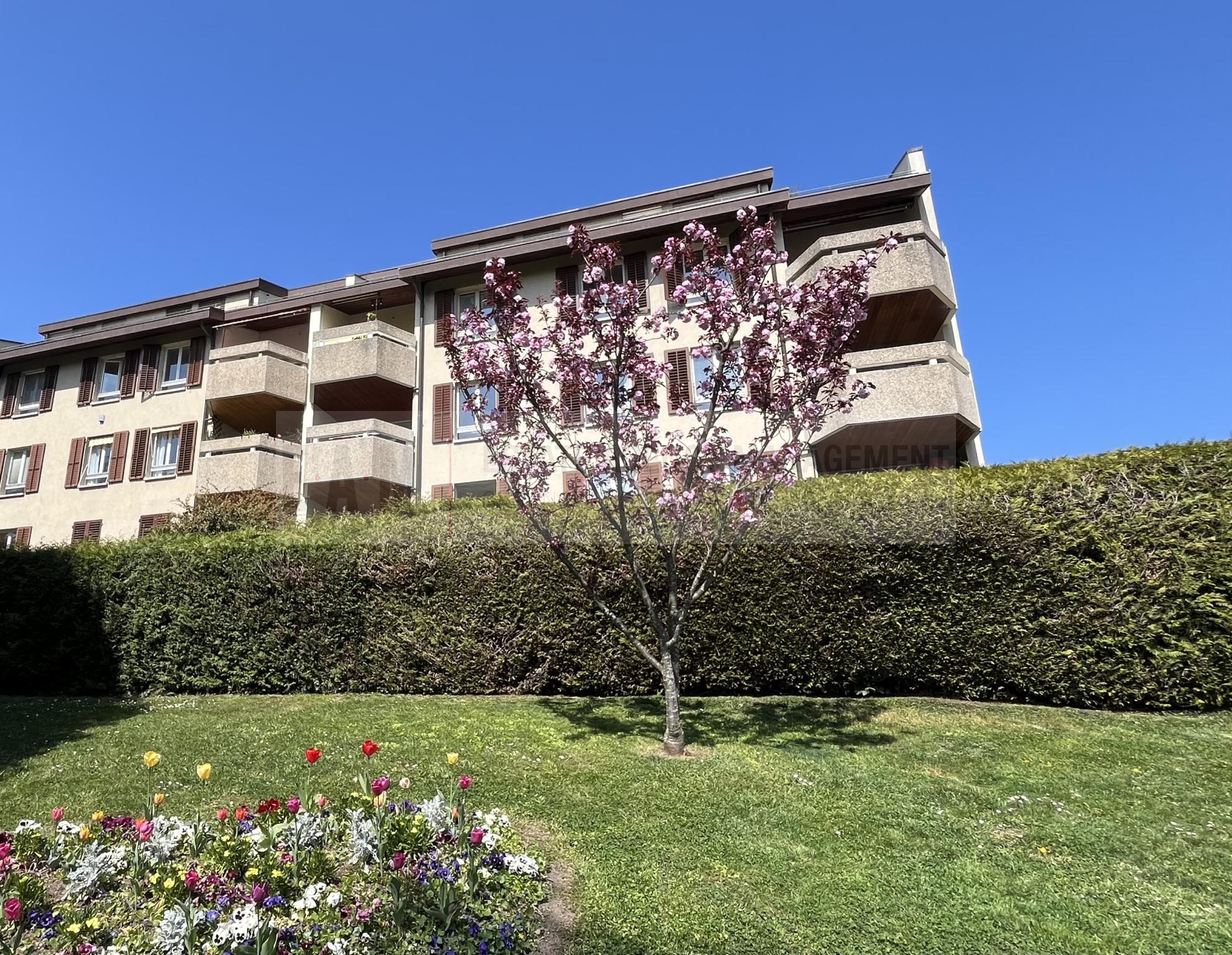 5 Zimmer Wohnung, Durchgangswohnung