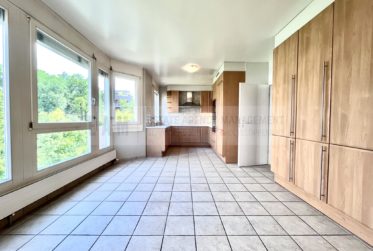 9 Zimmer Wohnung, Durchgangswohnung