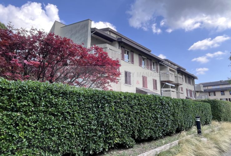 Cologny : charmant 5P traversant / charming 5P apartment