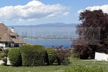 Vue du lac / lake view