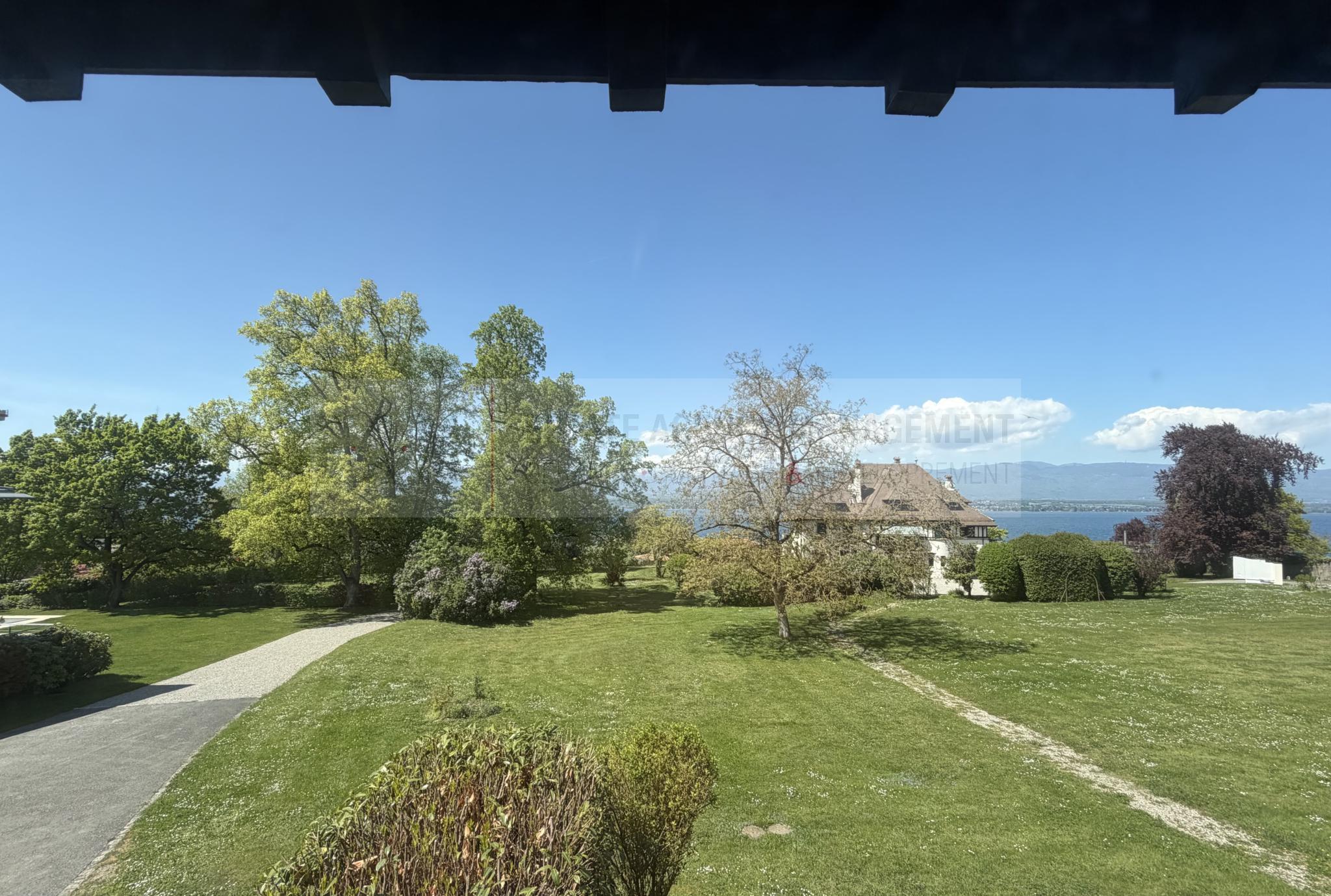 Vue du lac / lake view