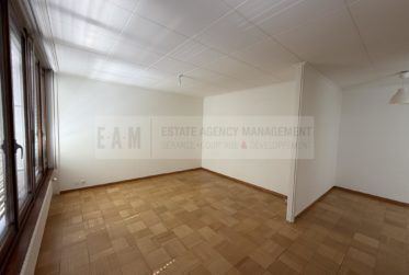 2 Rooms Flat